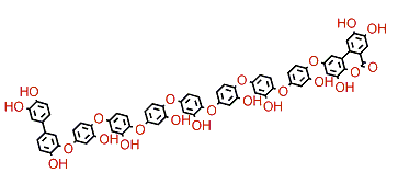 Cladophorol E